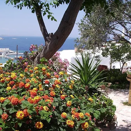 La Veranda Of Mykonos Traditional *